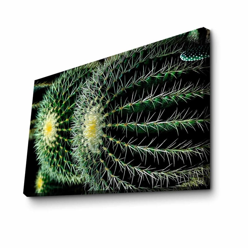 Dekorativ Canvastavla 45x70 cm - Flerfärgad - Inredning - Tavlor & konst - Canvastavlor