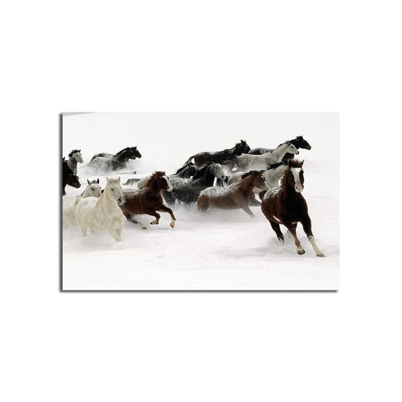 Dekorativ Canvastavla 45x70 cm - Flerfärgad - Inredning - Tavlor & konst - Canvastavlor