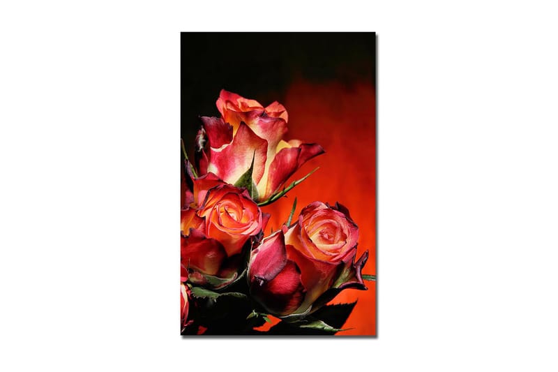 Dekorativ Canvastavla 45x70 cm - Flerfärgad - Inredning - Tavlor & konst - Canvastavlor
