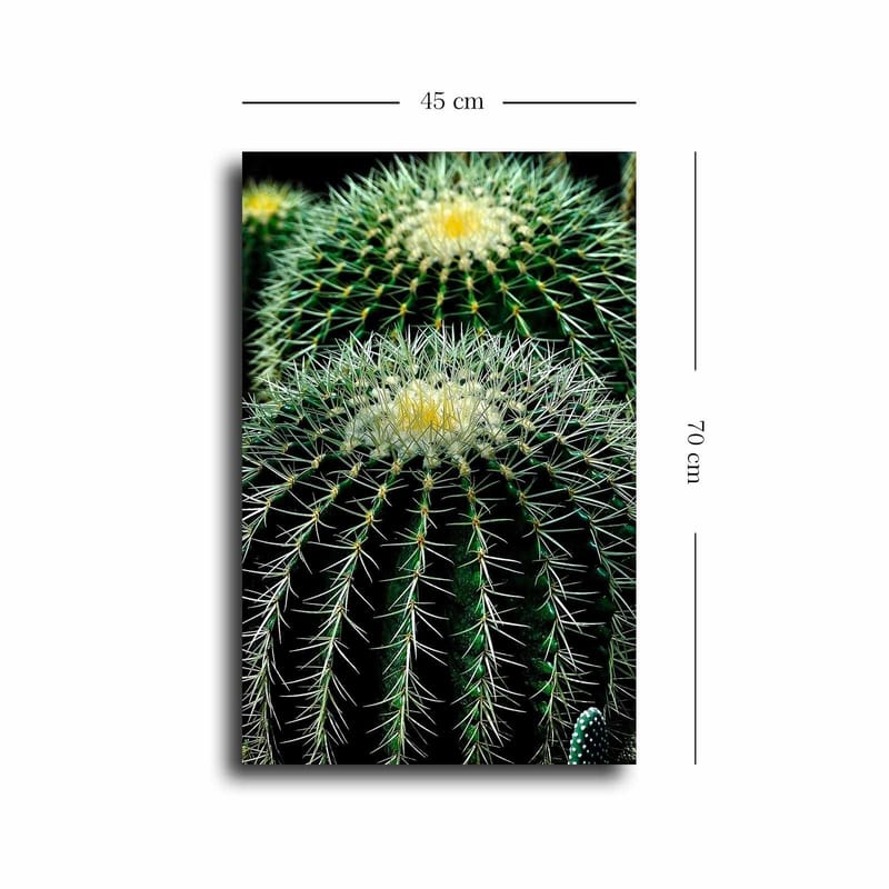 Dekorativ Canvastavla 45x70 cm - Flerfärgad - Inredning - Tavlor & konst - Canvastavlor