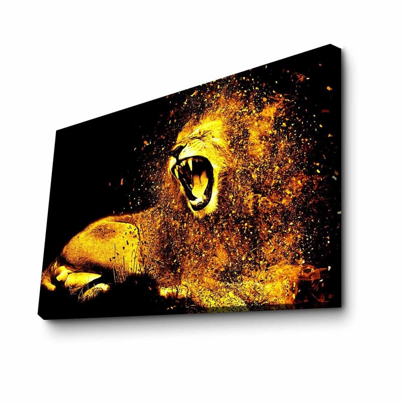 Dekorativ Canvastavla 45x70 cm, Flerfärgad