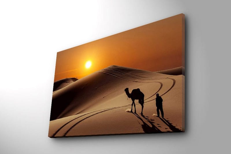 Dekorativ Canvastavla 45x70 cm - Flerfärgad - Inredning - Tavlor & konst - Canvastavlor