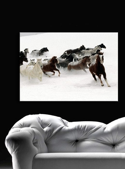 Dekorativ Canvastavla 45x70 cm - Flerfärgad - Inredning - Tavlor & konst - Canvastavlor