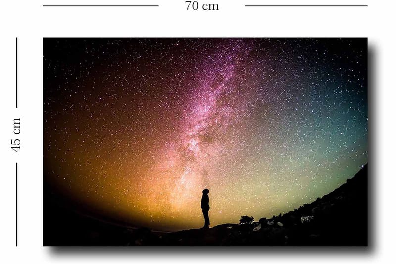 Dekorativ Canvastavla 45x70 cm - Flerfärgad - Inredning - Tavlor & konst - Canvastavlor