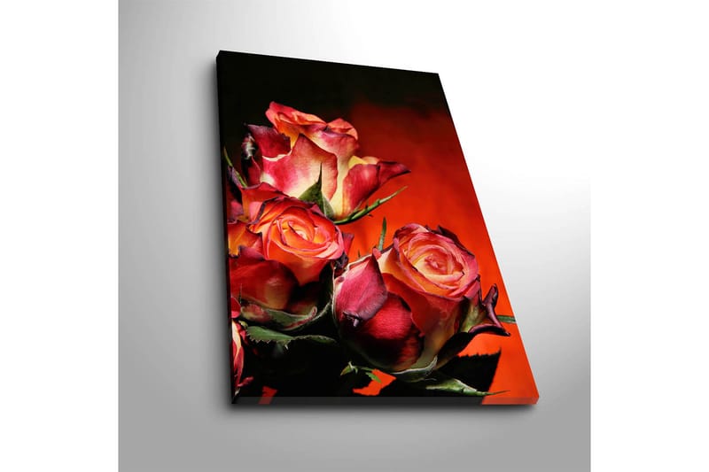 Dekorativ Canvastavla 45x70 cm - Flerfärgad - Inredning - Tavlor & konst - Canvastavlor