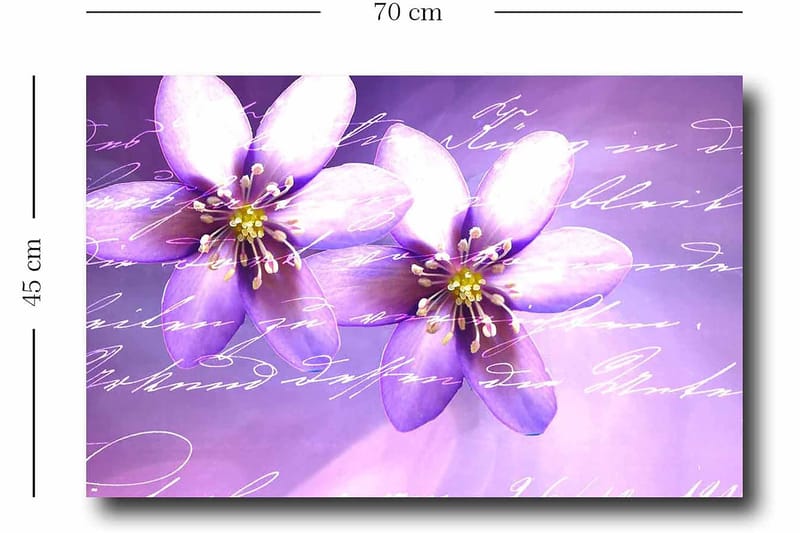 Dekorativ Canvastavla 45x70 cm - Flerfärgad - Inredning - Tavlor & konst - Canvastavlor