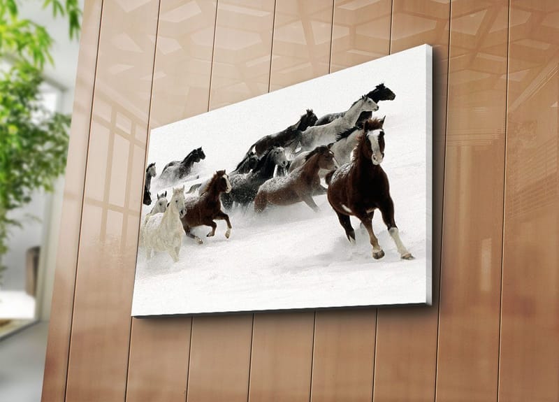 Dekorativ Canvastavla 45x70 cm - Flerfärgad - Inredning - Tavlor & konst - Canvastavlor