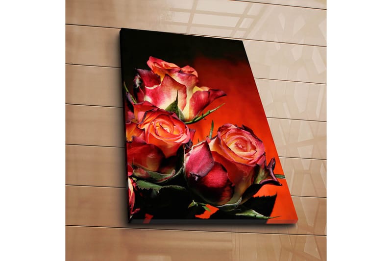 Dekorativ Canvastavla 45x70 cm - Flerfärgad - Inredning - Tavlor & konst - Canvastavlor