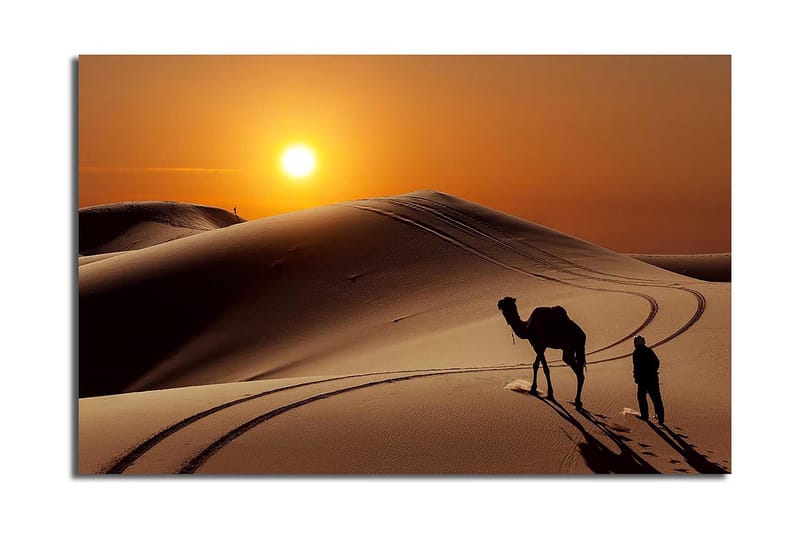 Dekorativ Canvastavla 45x70 cm, Flerfärgad