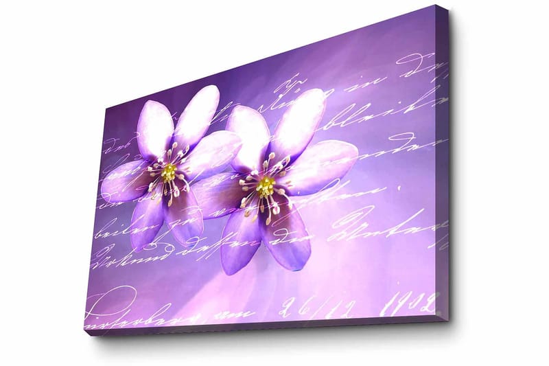 Dekorativ Canvastavla 45x70 cm - Flerfärgad - Inredning - Tavlor & konst - Canvastavlor