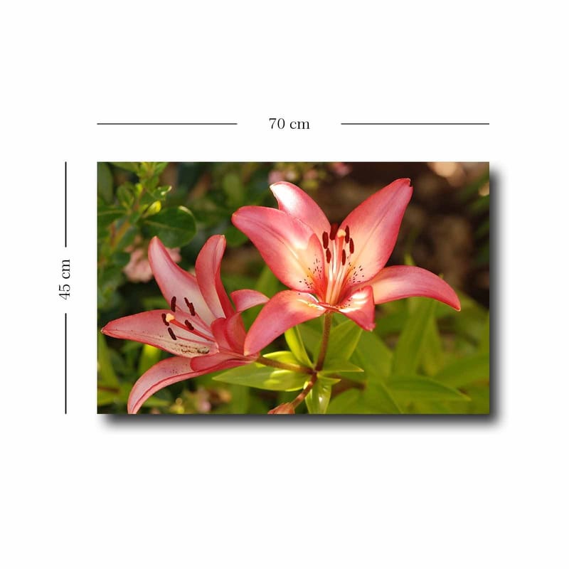 Dekorativ Canvastavla 45x70 cm - Flerfärgad - Inredning - Tavlor & konst - Canvastavlor