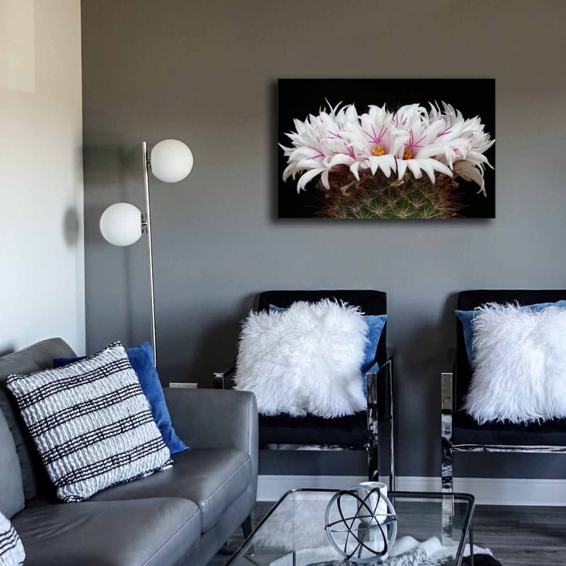 Dekorativ Canvastavla 45x70 cm - Flerfärgad - Inredning - Tavlor & konst - Canvastavlor