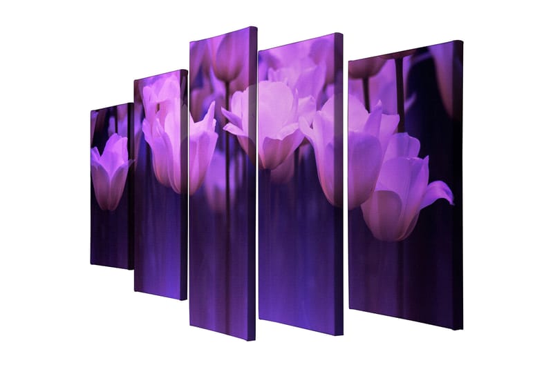 Dekorativ Canvastavla 5-Delar 70x20 cm - Flerfärgad - Inredning - Tavlor & konst - Canvastavlor