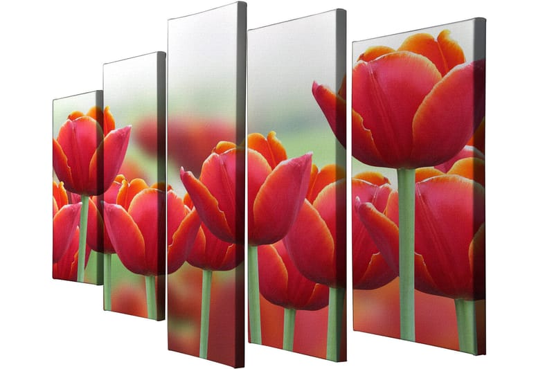 Dekorativ Canvastavla 5-Delar 70x20 cm - Flerfärgad - Inredning - Tavlor & konst - Canvastavlor