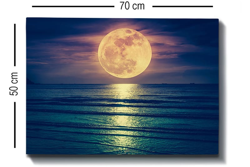 Dekorativ Canvastavla 50x70 cm - Flerfärgad - Inredning - Tavlor & konst - Canvastavlor