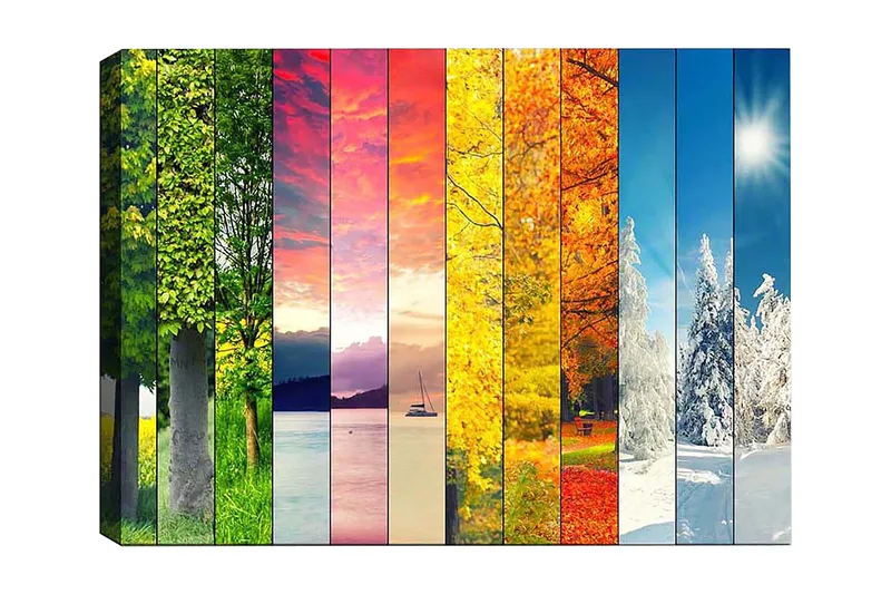 Dekorativ Canvastavla 50x70 cm, Flerfärgad