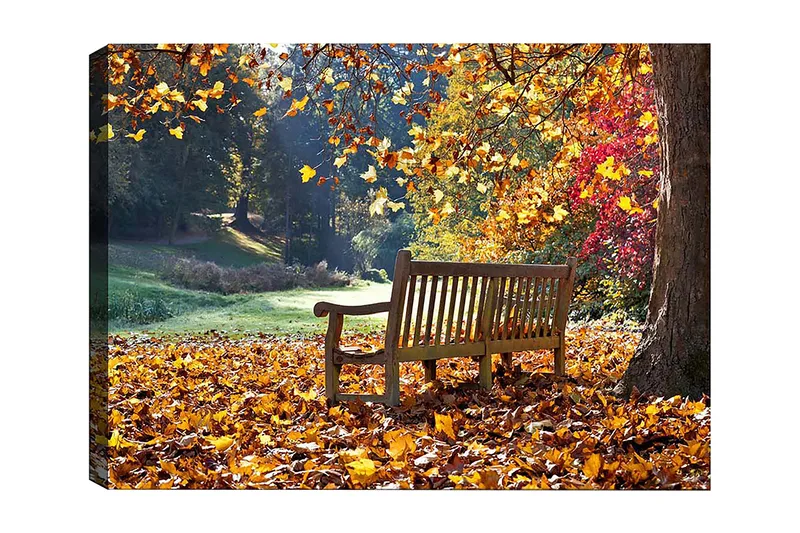 Dekorativ Canvastavla 50x70 cm - Flerfärgad - Inredning - Tavlor & konst - Canvastavlor