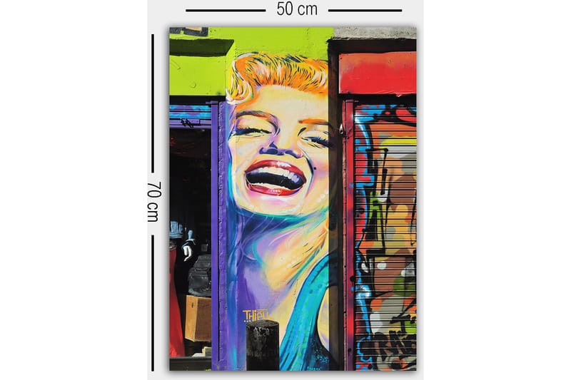 Dekorativ Canvastavla 50x70 cm - Flerfärgad - Inredning - Tavlor & konst - Canvastavlor