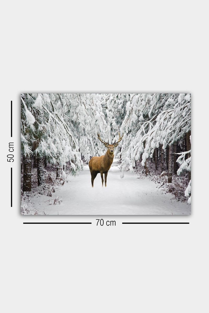 Dekorativ Canvastavla 50x70 cm - Flerfärgad - Inredning - Tavlor & konst - Canvastavlor