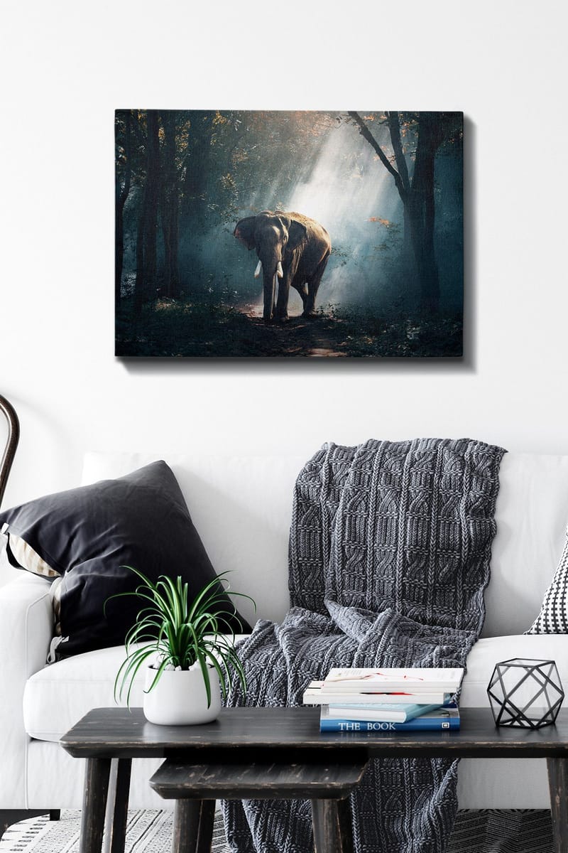 Dekorativ Canvastavla 50x70 cm - Flerfärgad - Inredning - Tavlor & konst - Canvastavlor