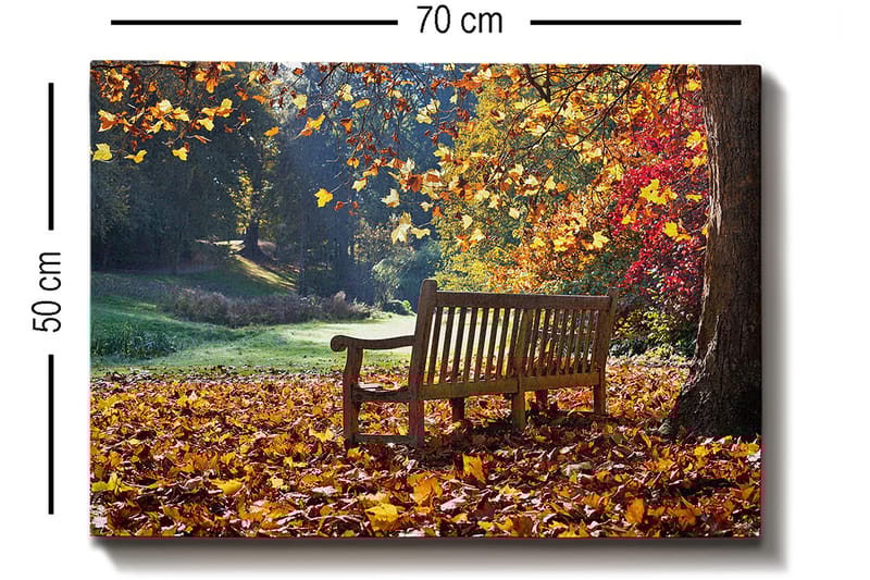 Dekorativ Canvastavla 50x70 cm - Flerfärgad - Inredning - Tavlor & konst - Canvastavlor