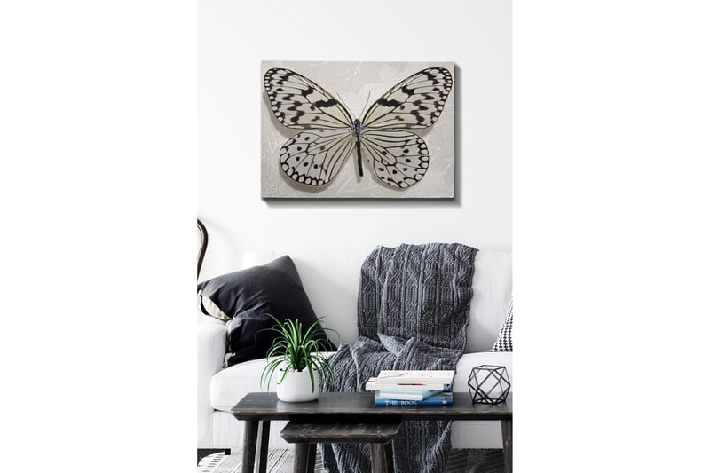 Dekorativ Canvastavla 50x70 cm - Flerfärgad - Inredning - Tavlor & konst - Canvastavlor