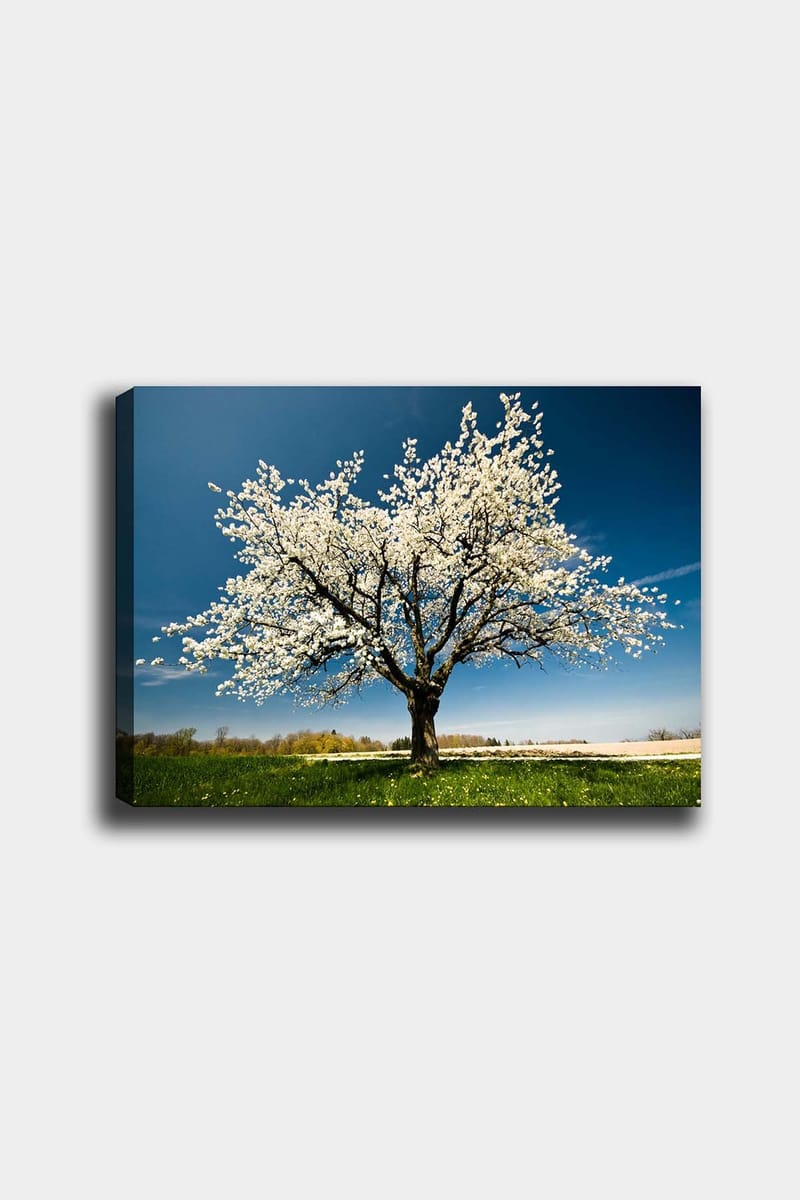 Dekorativ Canvastavla 50x70 cm - Flerfärgad - Inredning - Tavlor & konst - Canvastavlor
