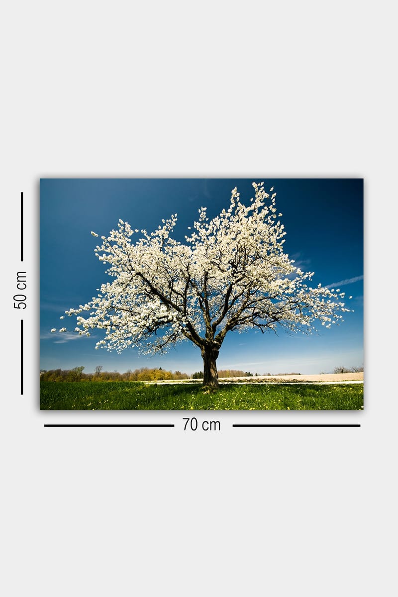 Dekorativ Canvastavla 50x70 cm - Flerfärgad - Inredning - Tavlor & konst - Canvastavlor