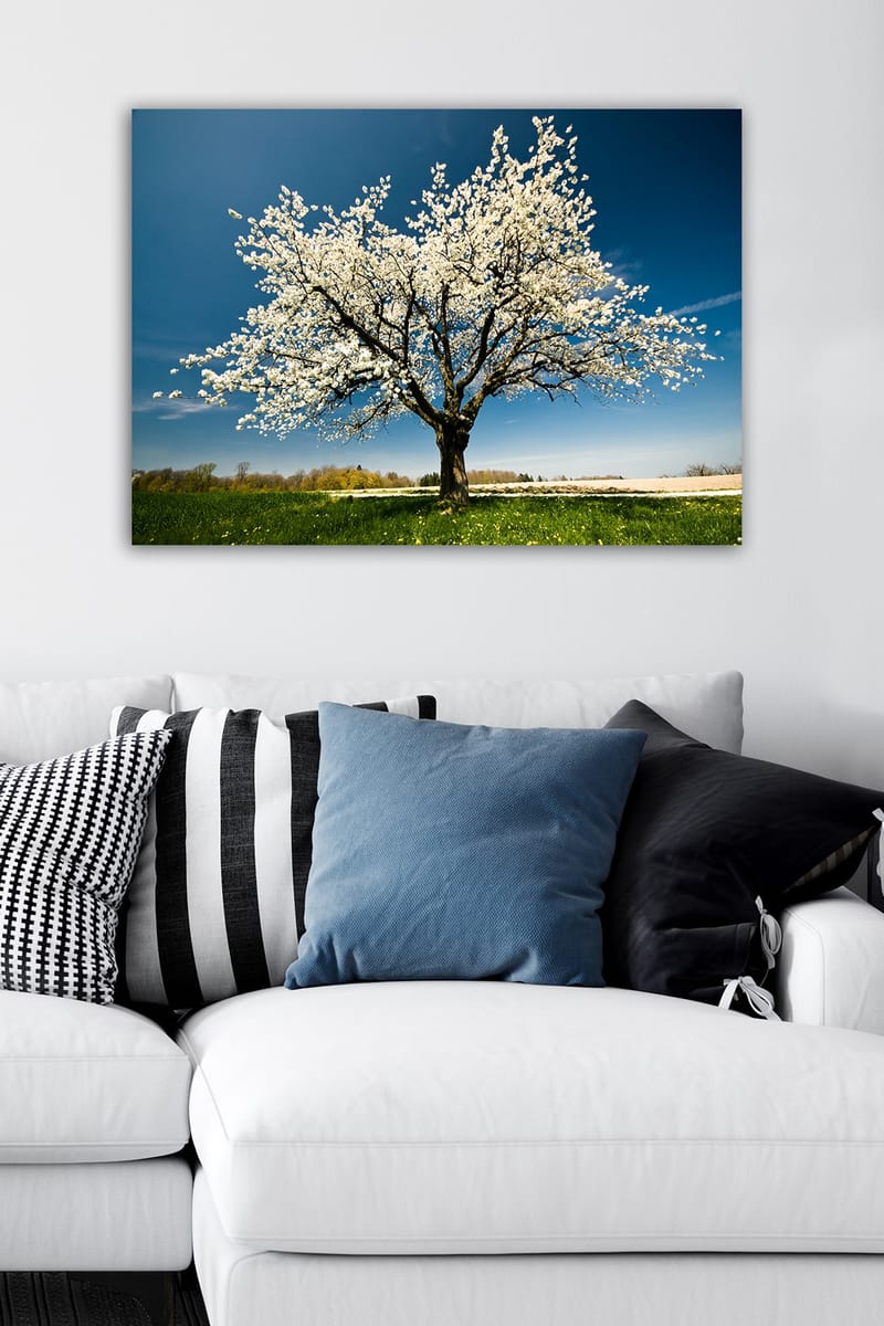 Dekorativ Canvastavla 50x70 cm - Flerfärgad - Inredning - Tavlor & konst - Canvastavlor