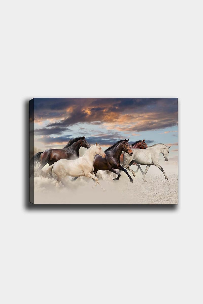 Dekorativ Canvastavla 50x70 cm - Flerfärgad - Inredning - Tavlor & konst - Canvastavlor