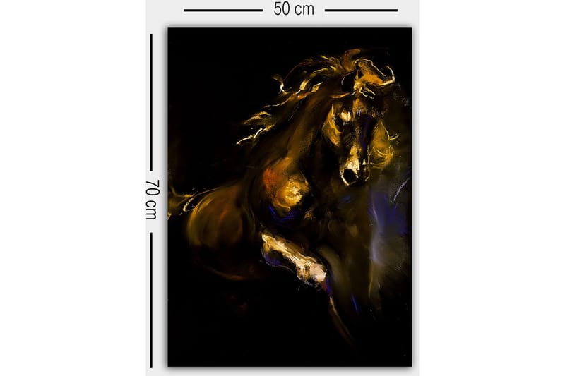 Dekorativ Canvastavla 50x70 cm - Flerfärgad - Inredning - Tavlor & konst - Canvastavlor