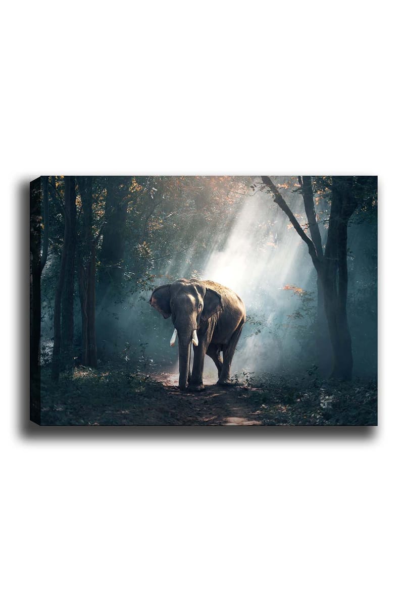 Dekorativ Canvastavla 50x70 cm, Flerfärgad