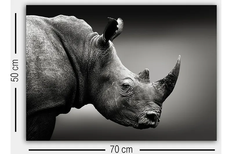 Dekorativ Canvastavla 50x70 cm - Flerfärgad - Inredning - Tavlor & konst - Canvastavlor