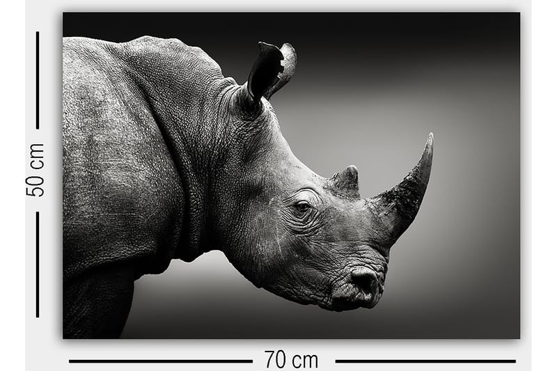 Dekorativ Canvastavla 50x70 cm - Flerfärgad - Inredning - Tavlor & konst - Canvastavlor