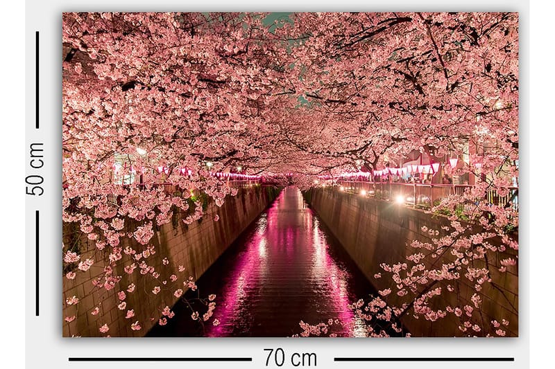 Dekorativ Canvastavla 50x70 cm - Flerfärgad - Inredning - Tavlor & konst - Canvastavlor