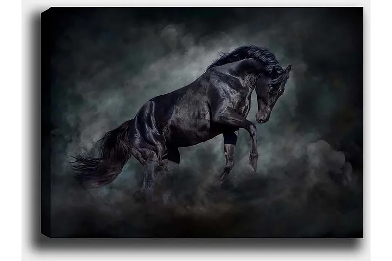 Dekorativ Canvastavla 50x70 cm - Flerfärgad - Inredning - Tavlor & konst - Canvastavlor