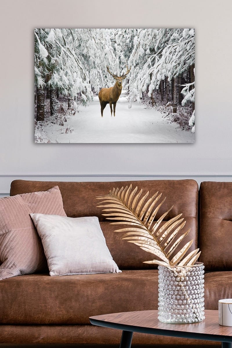 Dekorativ Canvastavla 50x70 cm - Flerfärgad - Inredning - Tavlor & konst - Canvastavlor