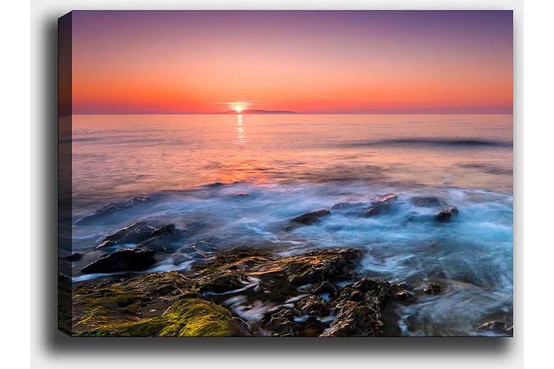 Dekorativ Canvastavla 50x70 cm - Flerfärgad - Inredning - Tavlor & konst - Canvastavlor