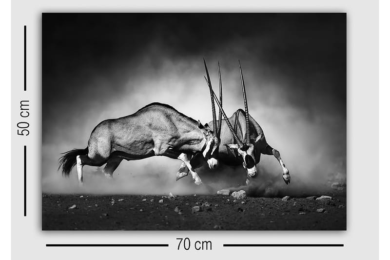 Dekorativ Canvastavla 50x70 cm - Flerfärgad - Inredning - Tavlor & konst - Canvastavlor