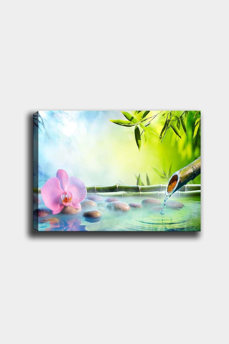 Dekorativ Canvastavla 50x70 cm, Flerfärgad