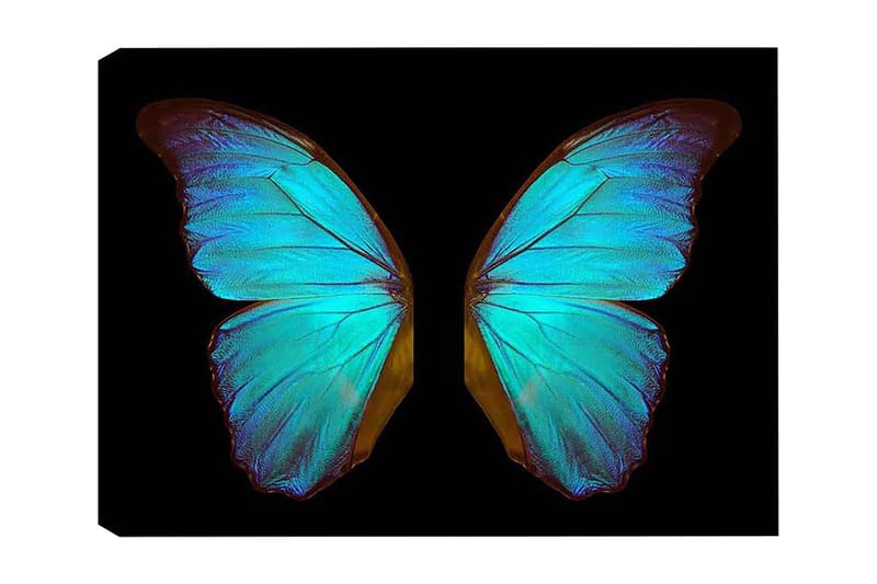 Dekorativ Canvastavla 50x70 cm, Flerfärgad