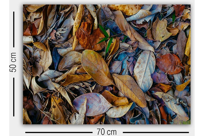 Dekorativ Canvastavla 50x70 cm - Flerfärgad - Inredning - Tavlor & konst - Canvastavlor