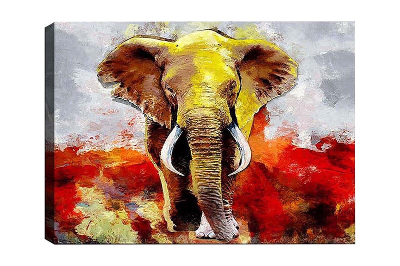 Dekorativ Canvastavla 50x70 cm, Flerfärgad