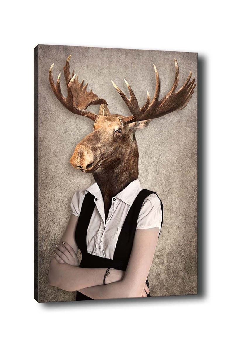 Dekorativ Canvastavla 50x70 cm, Flerfärgad