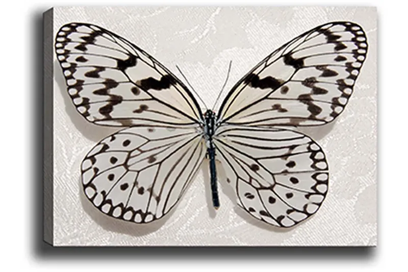 Dekorativ Canvastavla 50x70 cm - Flerfärgad - Inredning - Tavlor & konst - Canvastavlor