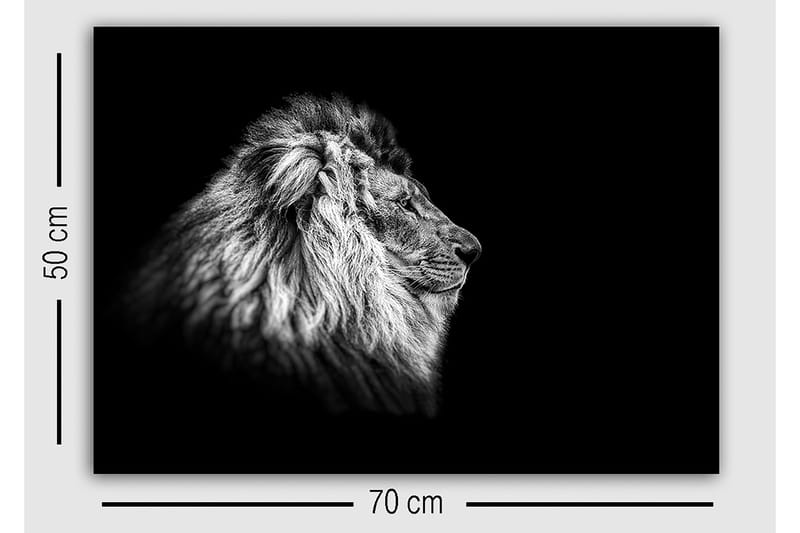 Dekorativ Canvastavla 50x70 cm - Flerfärgad - Inredning - Tavlor & konst - Canvastavlor