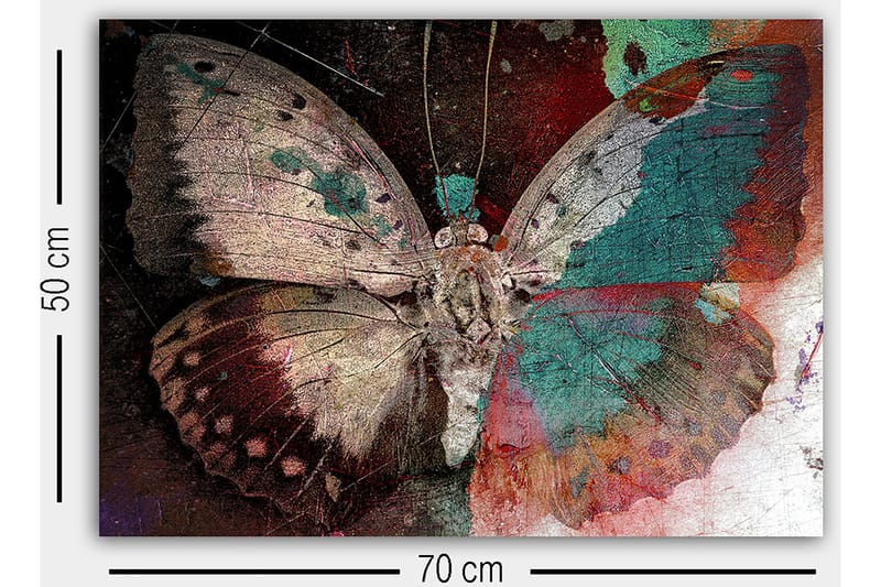 Dekorativ Canvastavla 50x70 cm - Flerfärgad - Inredning - Tavlor & konst - Canvastavlor