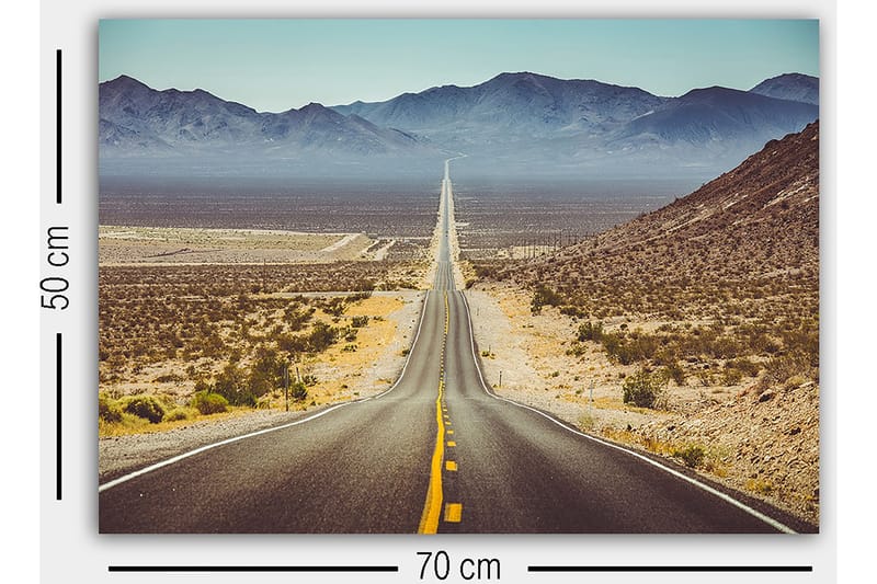 Dekorativ Canvastavla 50x70 cm - Flerfärgad - Inredning - Tavlor & konst - Canvastavlor