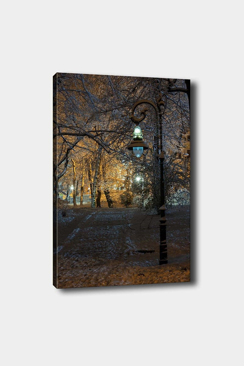 Dekorativ Canvastavla 50x70 cm, Flerfärgad