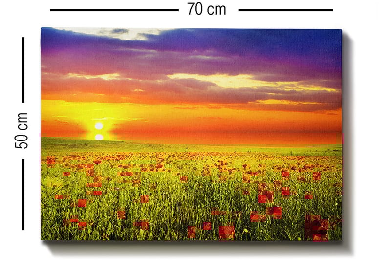 Dekorativ Canvastavla 50x70 cm - Flerfärgad - Inredning - Tavlor & konst - Canvastavlor